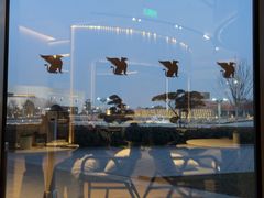 -东方美谷JW万豪酒店·The lounge大堂吧