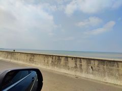 -同里国家湿地公园