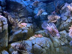 -成都浩海立方海洋公园