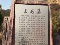 -五龙城郊森林公园