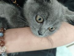 -嘉馨宠物医院·CT影像转诊·心脏科·犬猫全科诊疗中心(下沙大学城院区)