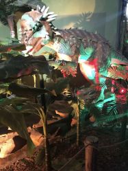 -恐龙探索乐园(磁器口店)