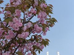 -南浦大桥长途旅游客运站