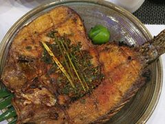 香茅草烤罗非鱼-滇越乘象云南餐厅(豆各庄店)