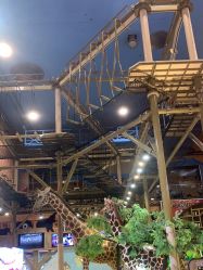 -卡通尼·Safari非洲探索乐园·生日会(金桥国际商业广场店)