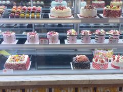 -TOUCH泰奇(奉贤宝龙城市广场店)