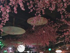 -韵秋荷(宝山龙湖天街店)