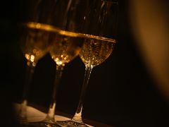 -上海柏悦酒店