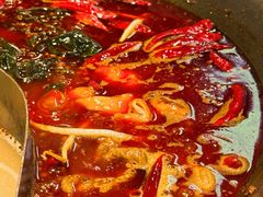 -阳阳老火锅(小南门店)