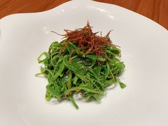 XO磨菇酱拌龙须菜-华尔道夫酒店·紫金阁