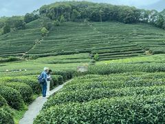 -欣怡茶庄·始于1999(梅家坞店)