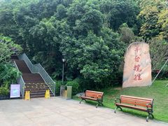 -阳台山森林公园