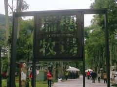 -瑞穗牧场