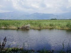 -野鸭湖国家湿地公园