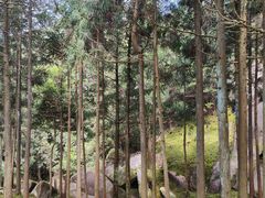 -玉苍山国家森林公园