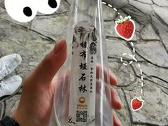 -梭布垭石林景区