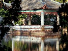 -叶家花园