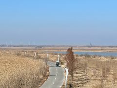 -盐城丹顶鹤湿地生态旅游区