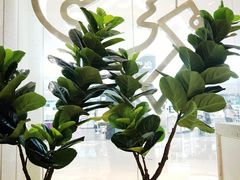 -喜茶(深圳湾万象城店)