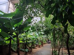 -呀路古热带植物园