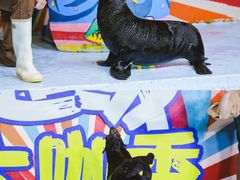 -南昌海洋公园