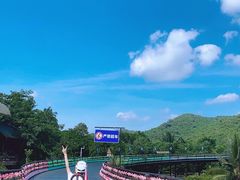 -海南槟榔谷黎苗文化旅游区