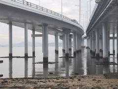 -深圳湾公园(南山区)