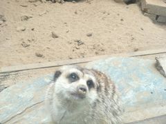 -昆明动物园
