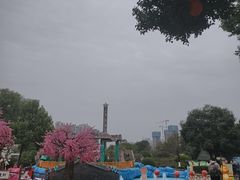 -南湖梦幻岛