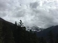 -黄龙山原始森林景区