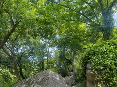 -灵岩山风景区