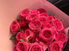 -双季花艺园艺市场(浦东店)