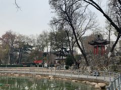 -莲湖公园