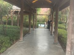 -和顺柏联温泉