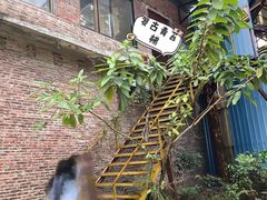-黄埔油麻山森林公园