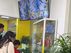 -贝乐少儿英语·全外教(滨江中心)