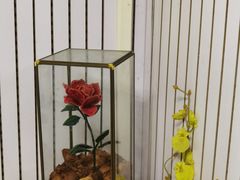 -K·Kitchen KK牛扒厨房(江南西店)