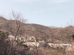 -北京西山国家森林公园