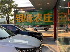 -银峰农庄·特色烧鸡·鲜无花果浸鸡