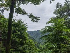 -瓦屋山景区