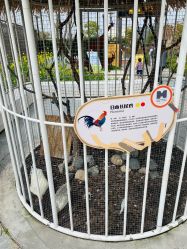 -造物庄园 萌宠纪(苏州湾歌林公园店)