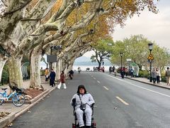 -中国茶叶博物馆(双峰馆区)