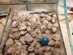 美国蛤-加餐海鲜自助(集美银泰百货店)