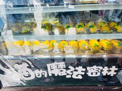 -猫的魔法密林(衣裳街店)