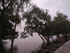 -宝安西湾红树林湿地公园