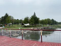 -苏州湾体育公园