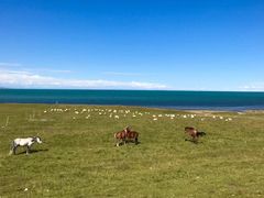 -青海湖国家重点风景名胜区