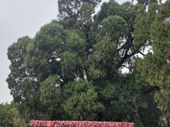 -四门塔风景区