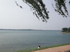 -丁香湖公园