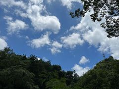 -黔灵山公园
